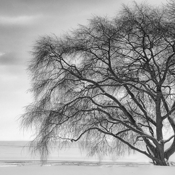 Meet your Posher, Frank - Picture 3 of 3